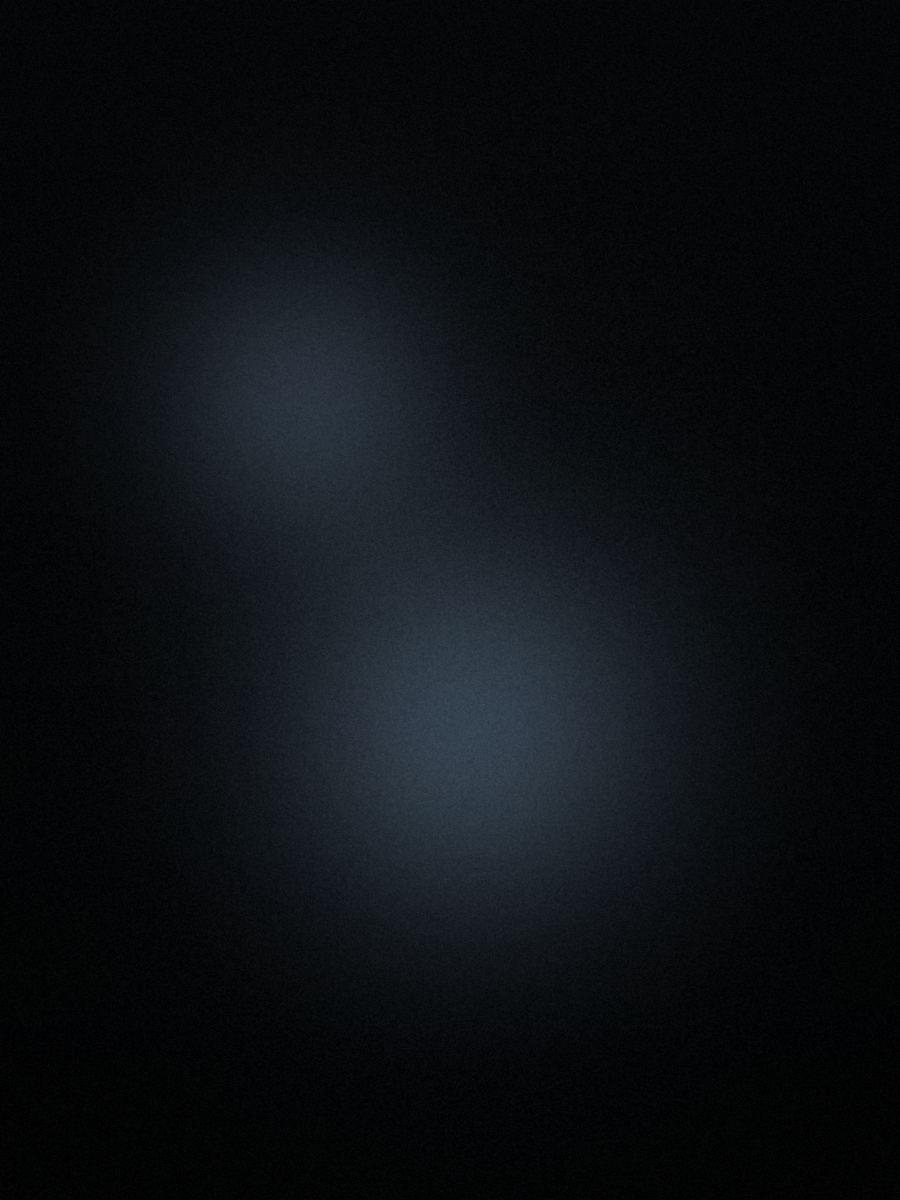 Visual corporate di Ridni — Italia