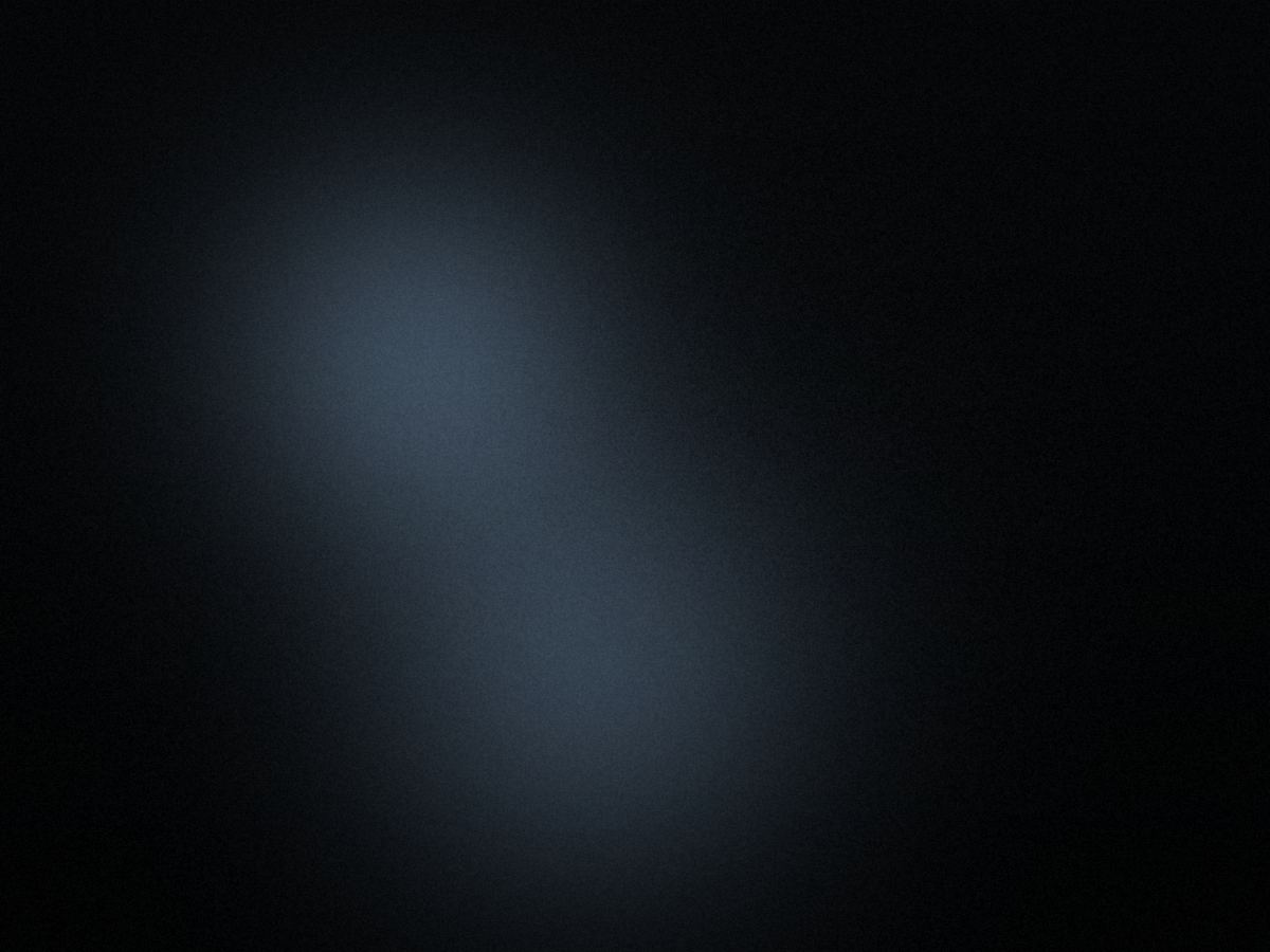 Visual corporate di Ridni — Italia