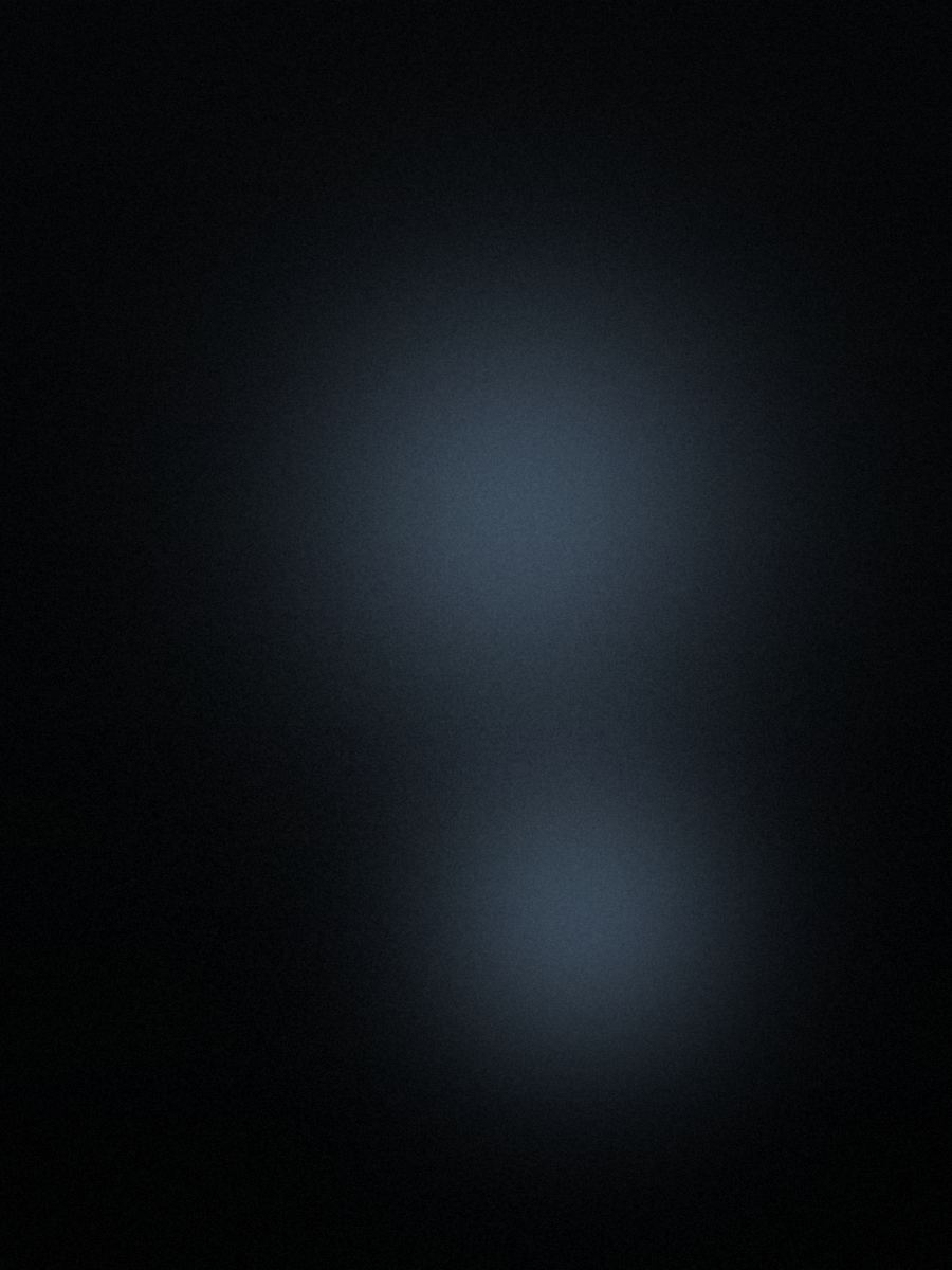 Visual corporate di Ridni — Italia