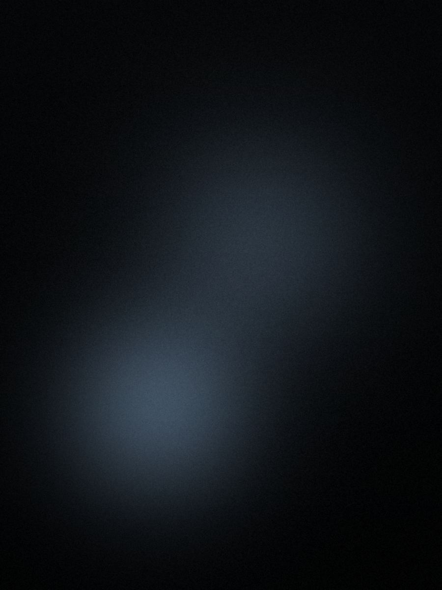 Visual corporate di Ridni — Italia