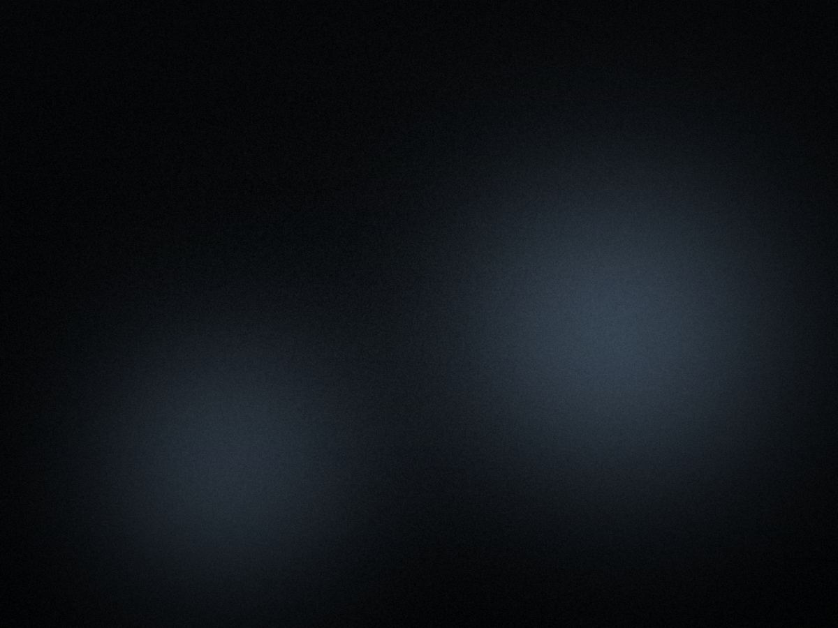 Visual corporate di Ridni — Italia