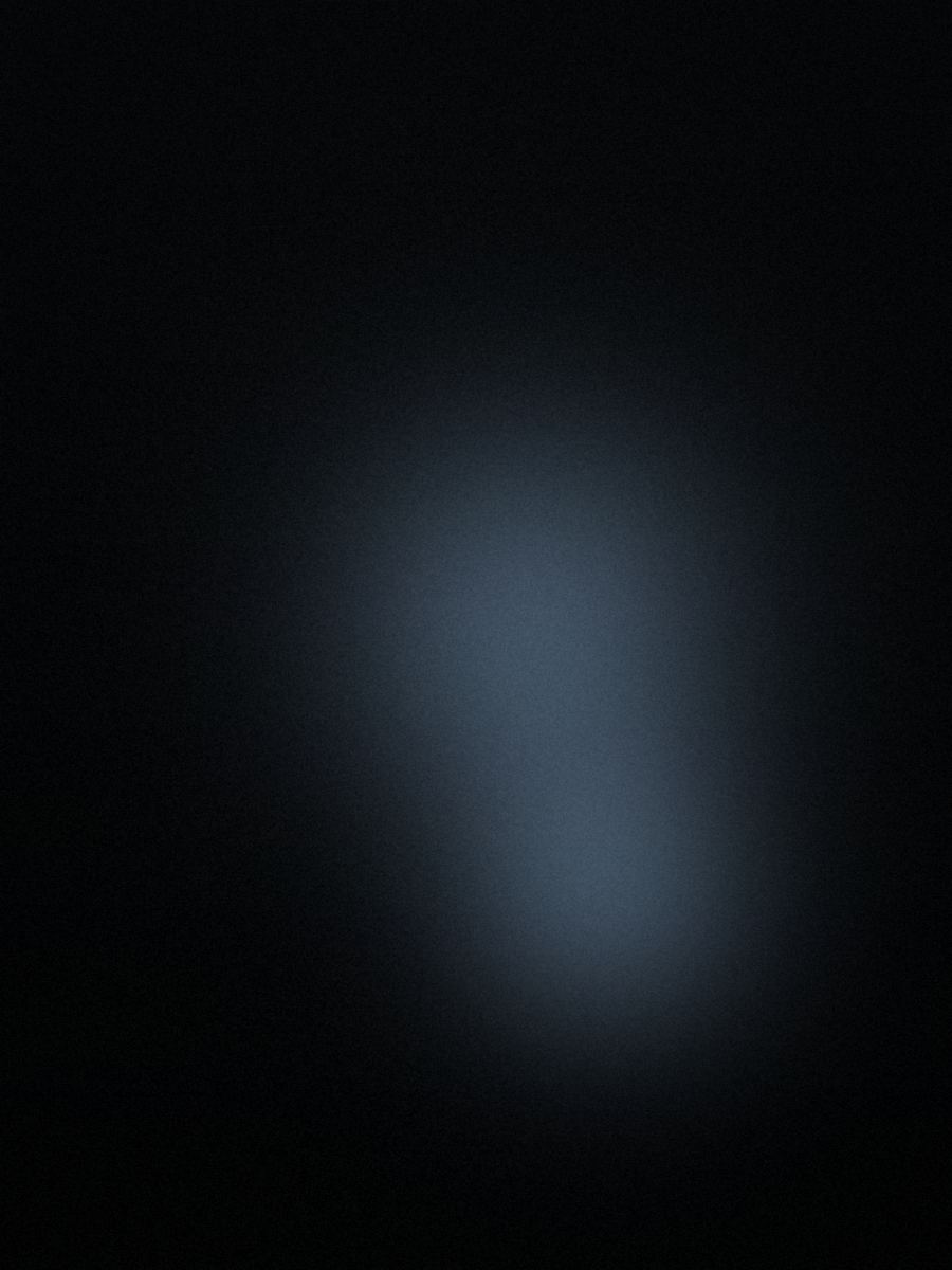 Visual corporate di Ridni — Italia