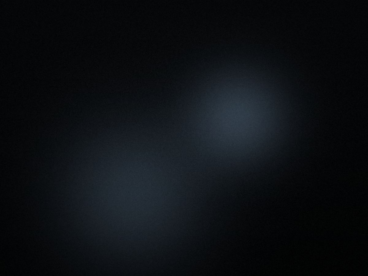 Visual corporate di Ridni — Italia