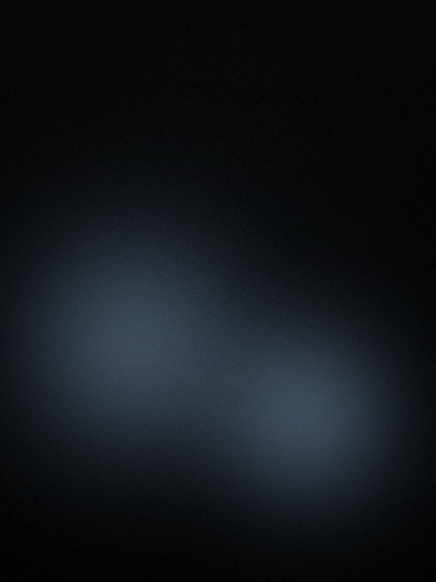 Visual corporate di Ridni — Italia