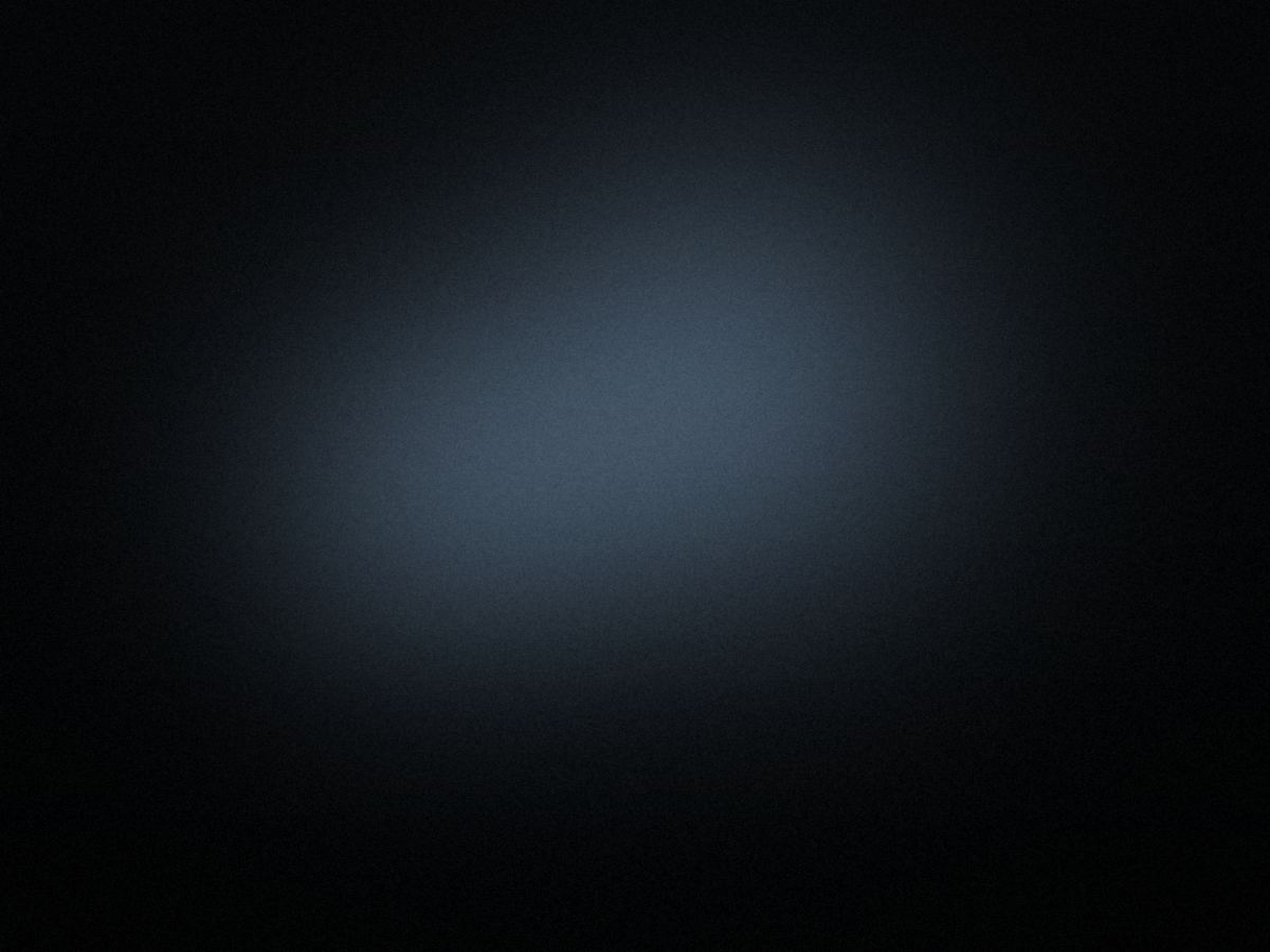 Visual corporate di Ridni — Italia