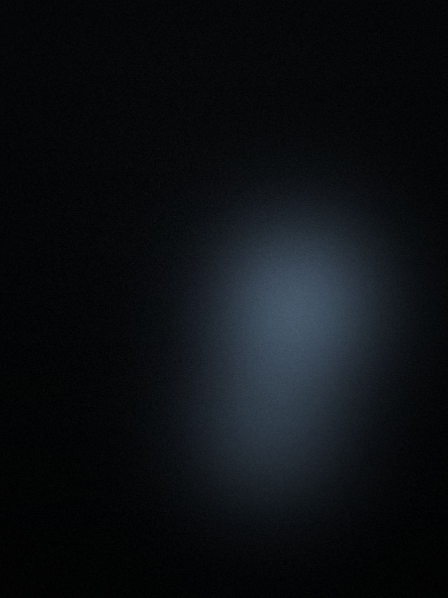 Visual corporate di Ridni — Italia