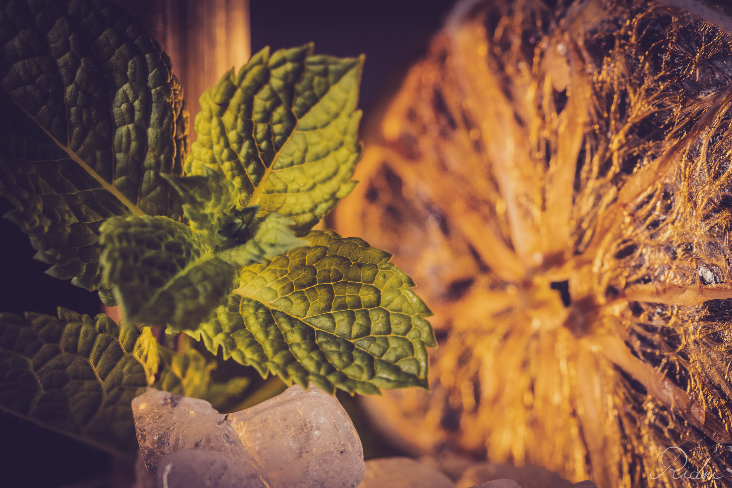 Macro shot of fresh mint and citrus at bar Zona in lignano, friuli, showcasing the intricate presentation of a signature drink.