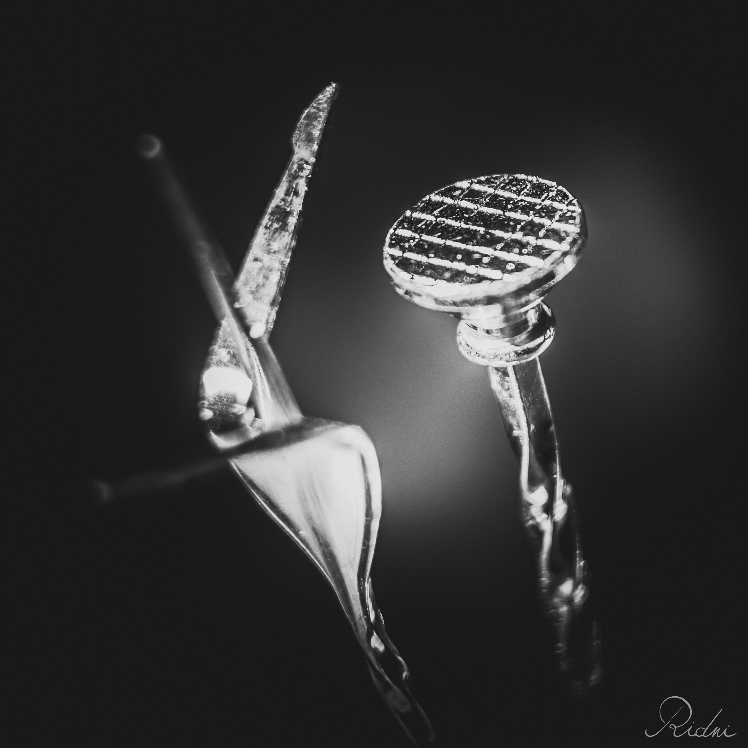 Macro detail of a metallic cocktail pick at bar Zona in lignano, friuli, captured in dramatic black and white lighting.