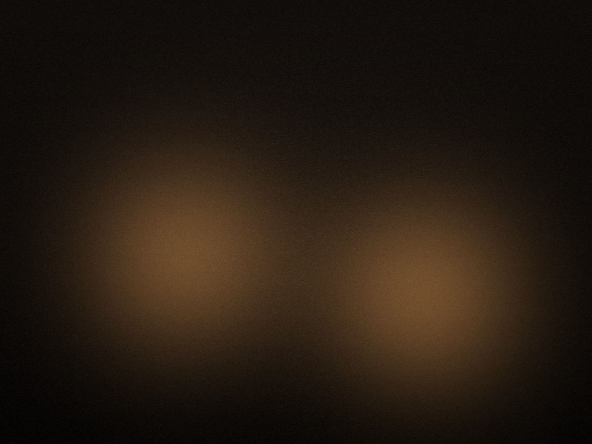 Wedding photograph by Ridni — Veneto, Italy